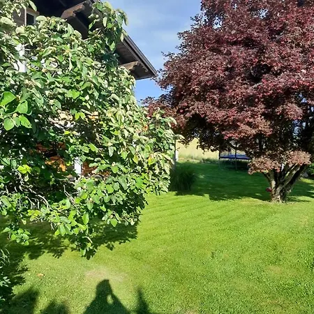 Ewald's Panoramablick